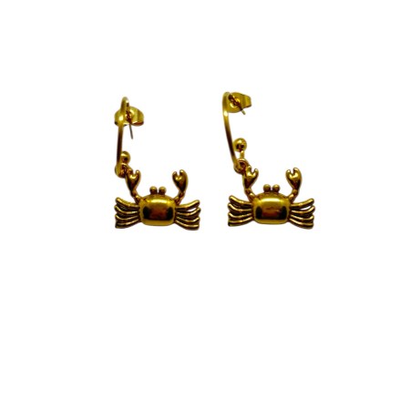 earrings steel gold hoops with crubs1